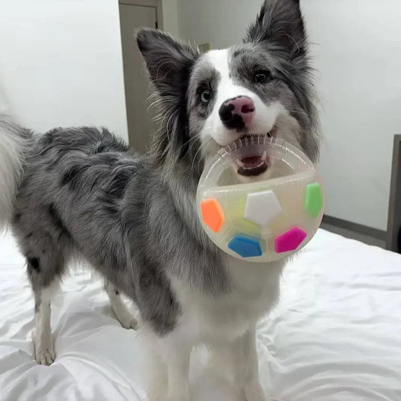 PawKick™ Durable Soccer Toy – Bouncy. Bite-Resistant & Fun  Buy one get one free, double the fun