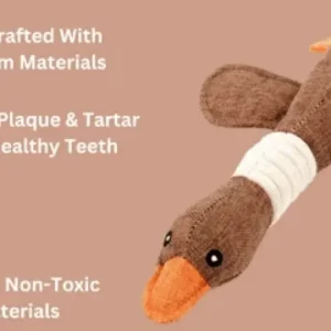 🔥ROBUSTDUCK-DESIGNED FOR HEAVY CHEWERS - 🚨 Limited-Time Offer: Today only. buy one ROBUSTDUCK and get one FREE!