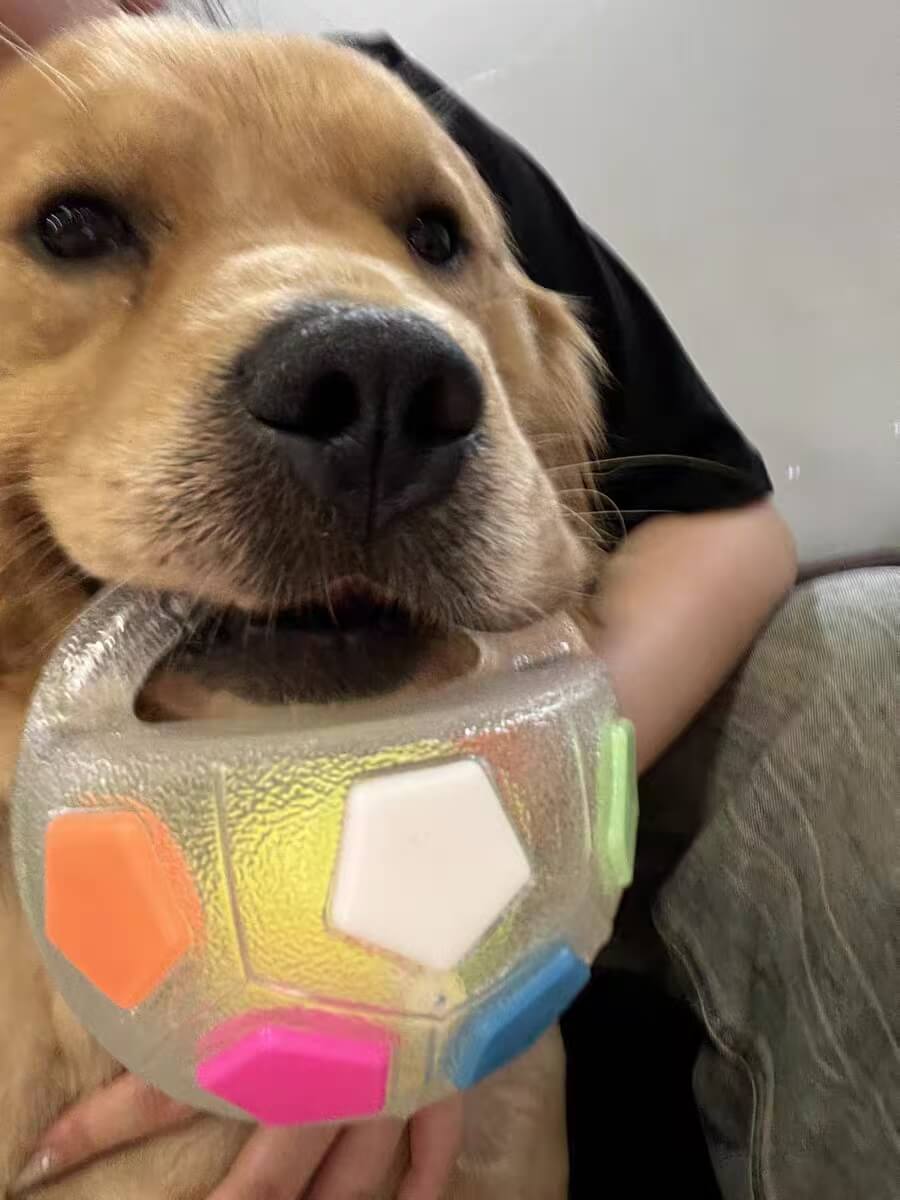 PawKick™ Durable Soccer Toy – Bouncy. Bite-Resistant & Fun Buy one get one free, double the fun